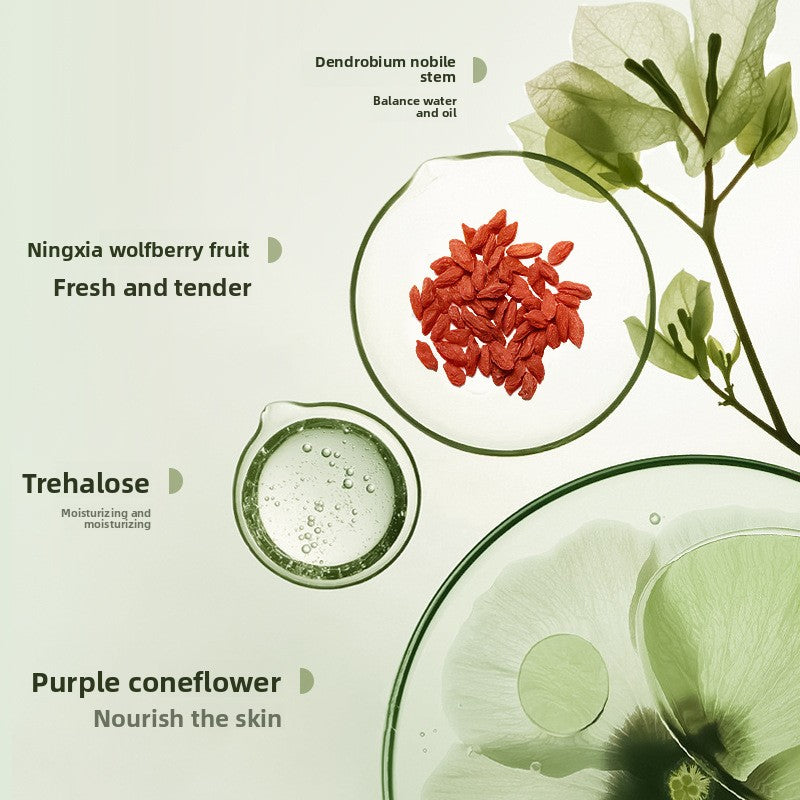 Green Tea Amino Acid Facial Cleanser