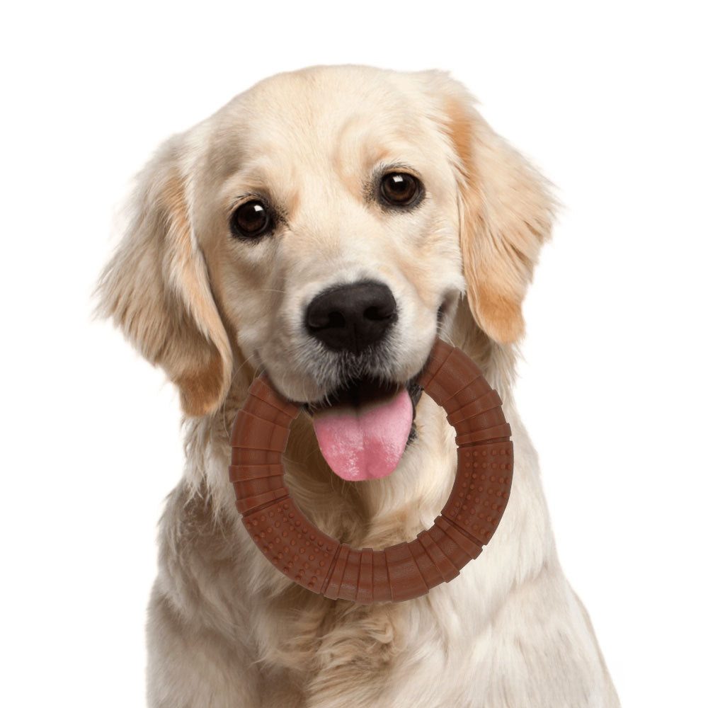 Nylon Chew Toy for Dogs Teeth Cleaning Bone