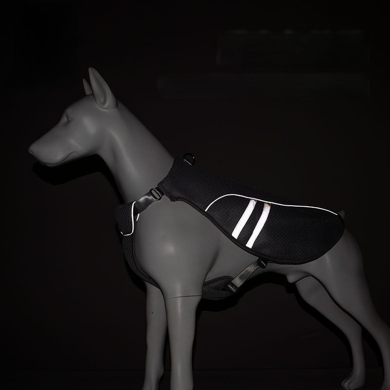 Summer Pet Clothing