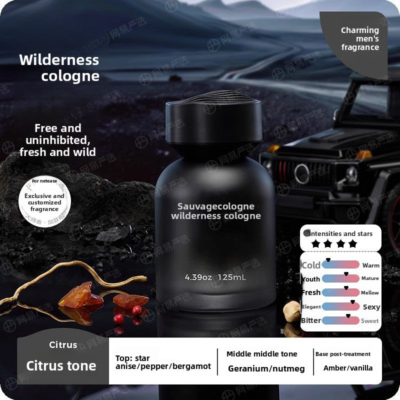 Premium Car Perfume Refillable Fragrance Ornament