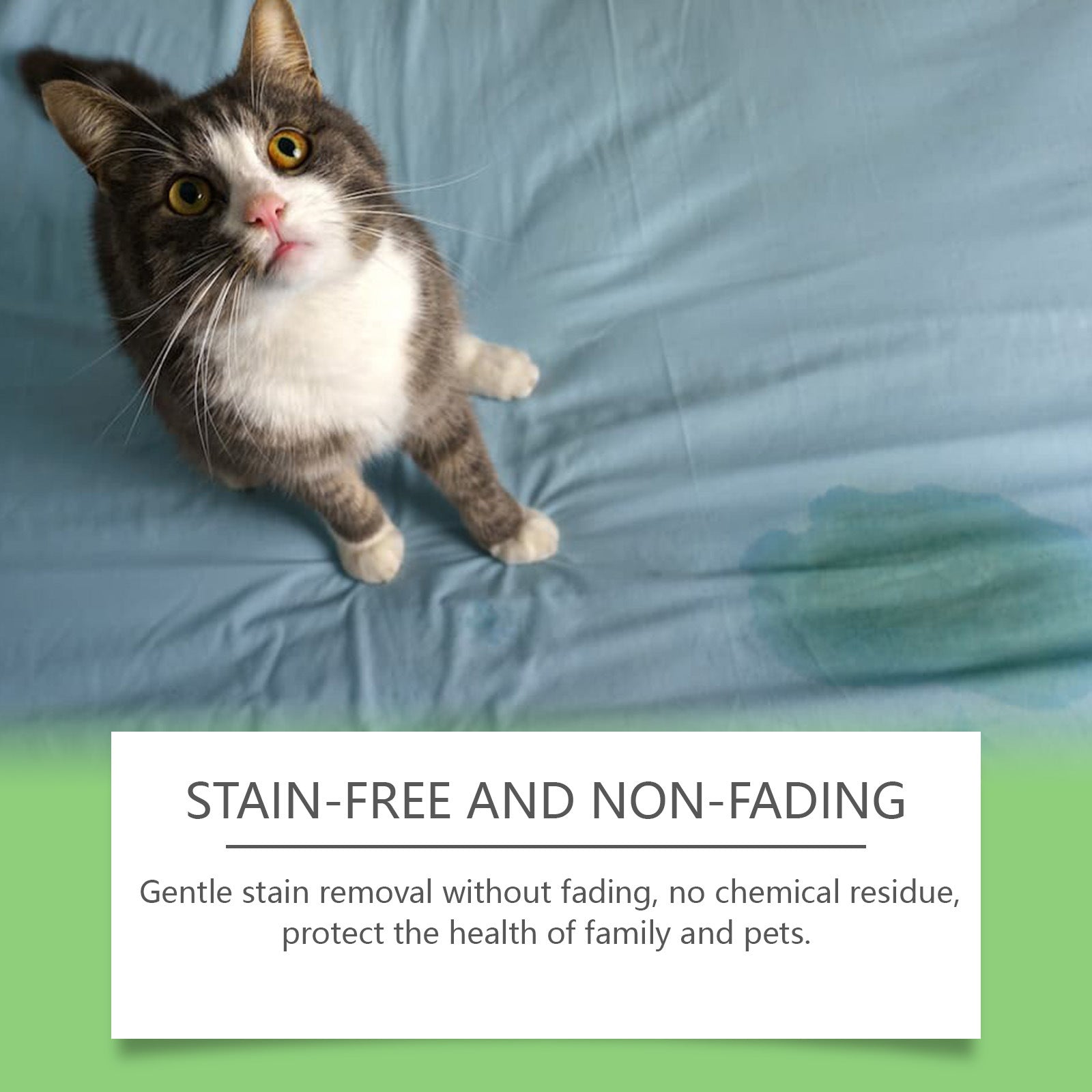 Pet Stain Remover for Cats and Dogs