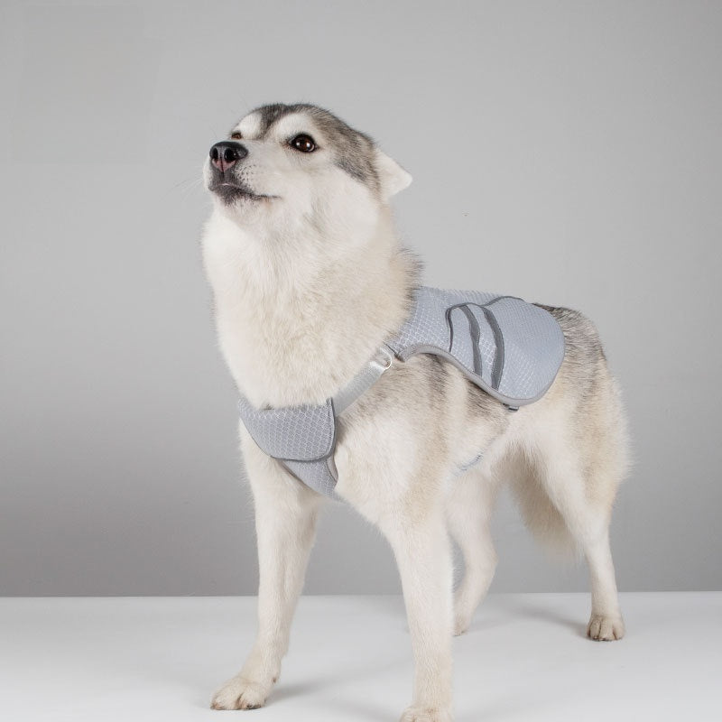 Summer Pet Clothing