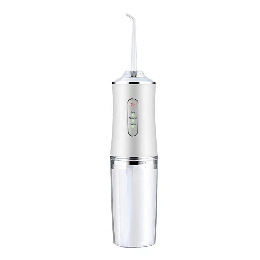 Electric dental cleaner