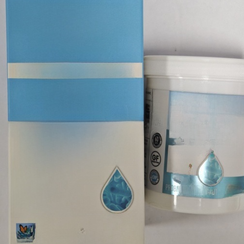 60 Billion CFU Daily Probiotic Capsules | High-Potency & Gut Health Angle (Best Overall)
