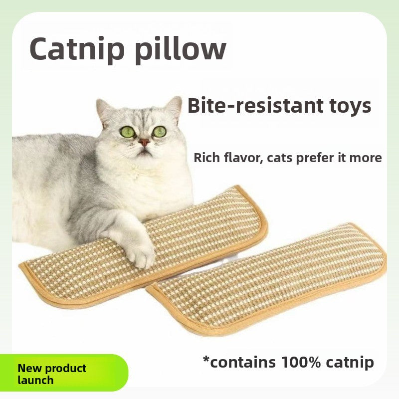 Sisal Catnip Cat Scratching Mat pillow | Bite-Resistant Fish Toy for Teeth Cleaning