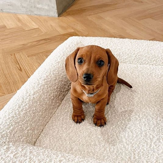 Rectangular Pet Bed Sofa for Dogs and Cats