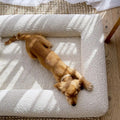Rectangular Pet Bed Sofa for Dogs and Cats