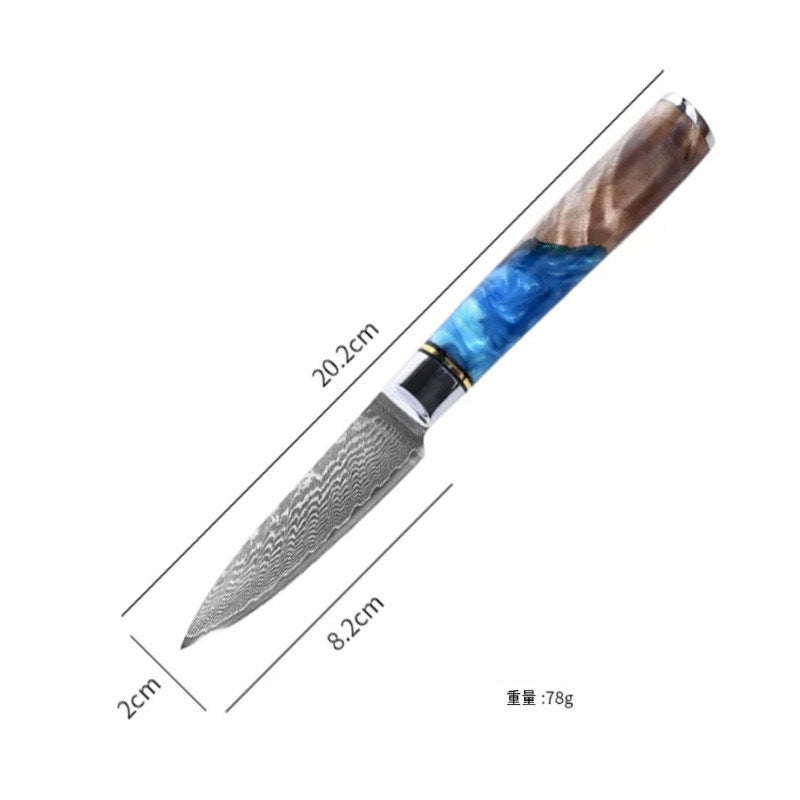 Premium VG10 Damascus Steel Knife Collection | Full Tang Professional Chef Knives