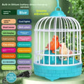 Children Educational Singing Bird Cage Toy