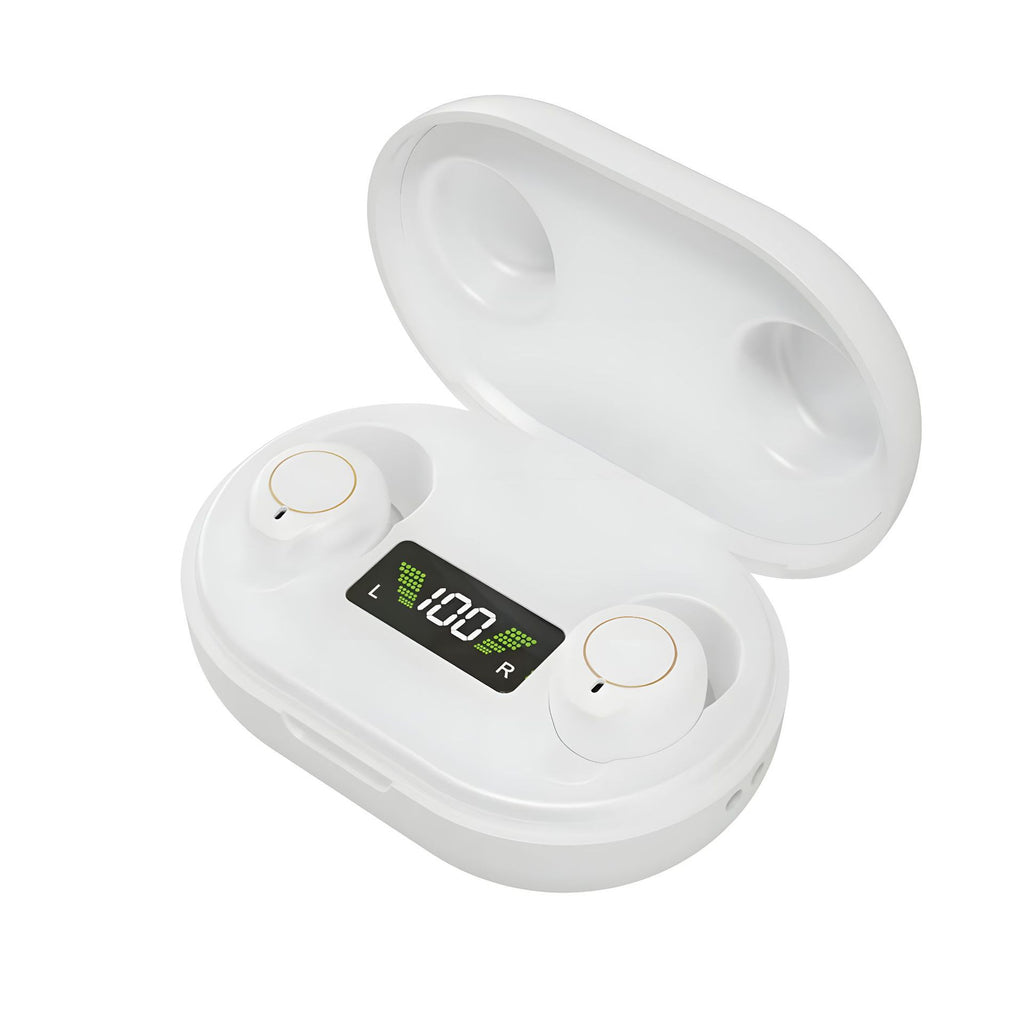 Rechargeable Digital Hearing Amplifier