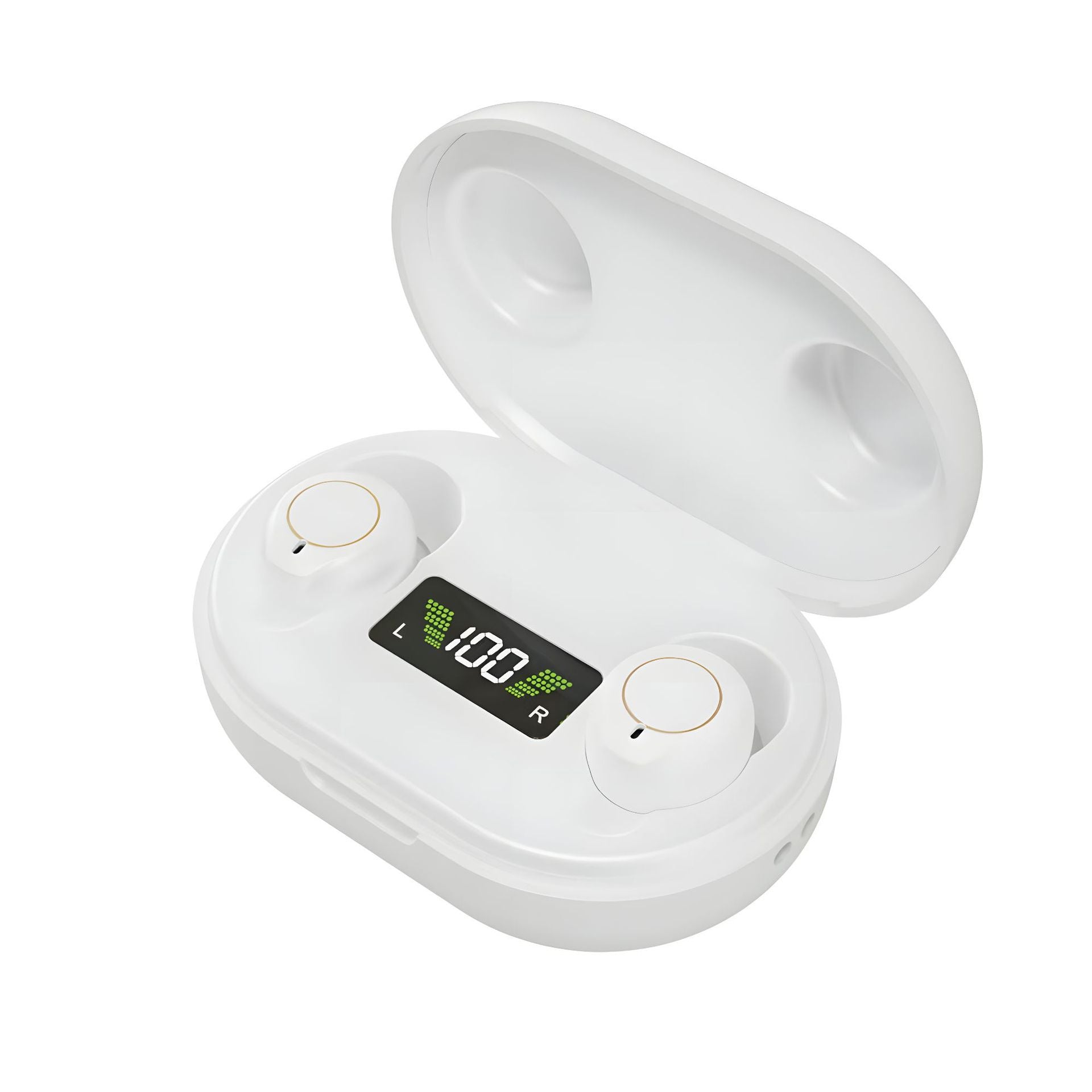 Rechargeable Digital Hearing Amplifier