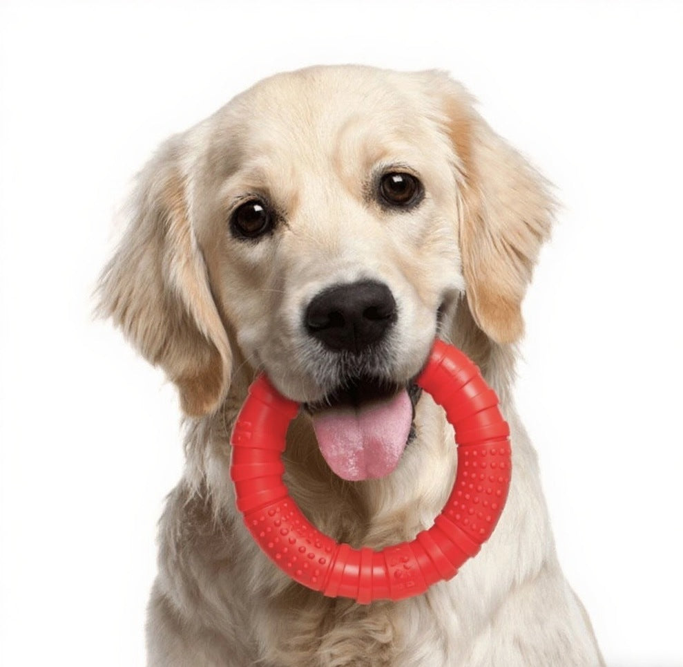 Nylon Chew Toy for Dogs Teeth Cleaning Bone