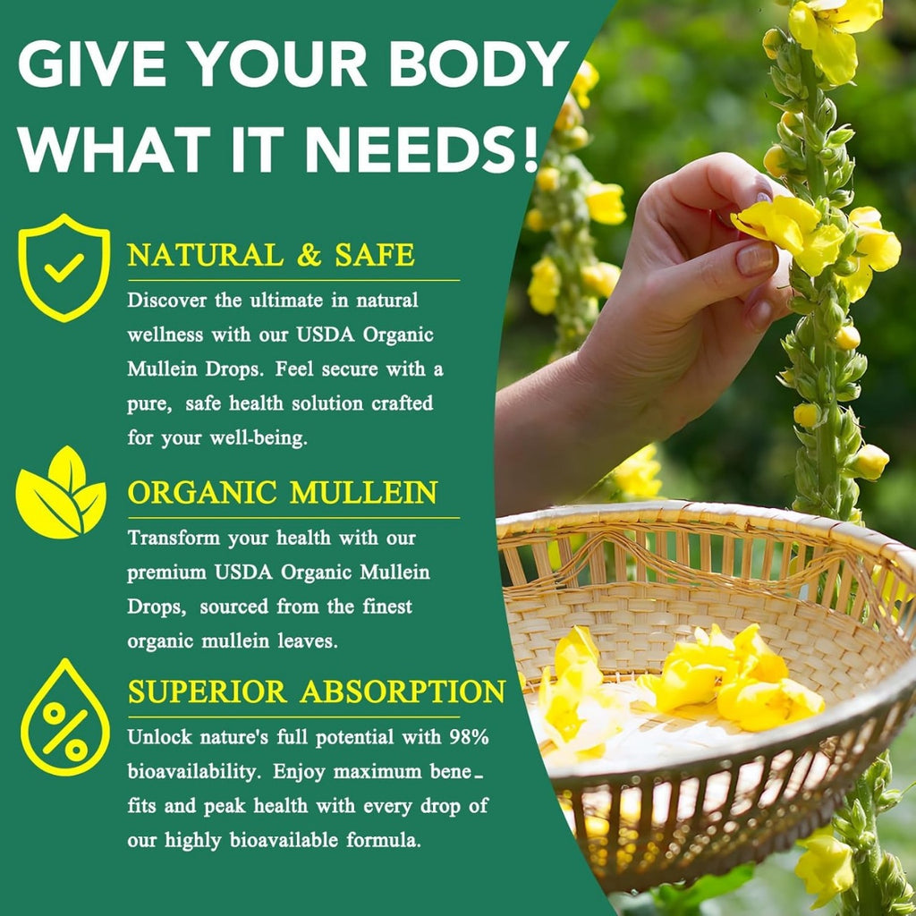 Premium Mullein Leaf Liquide Drops-60ml | Natural Respiratory Support