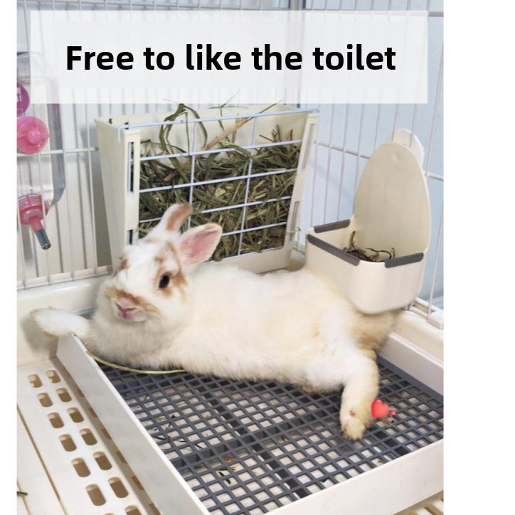 Paw Clean Large Small-Animal Litter Box | Anti=Clog Gride Trainer for Rabbits & Guinea Pigs